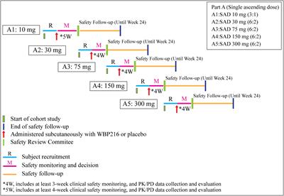 Safety, tolerability, pharmacokinetics, pharmacodynamics, and efficacy of WBP216, a novel IL-6 monoclonal antibody, in patients with rheumatoid arthritis: A phase Ia randomized placebo-controlled study